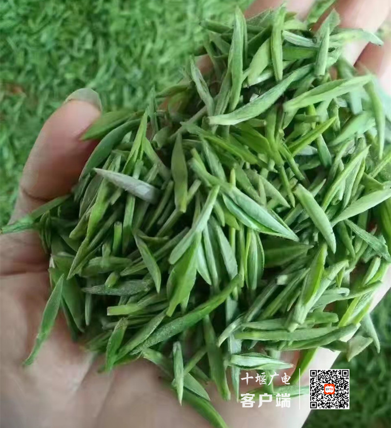 微信图片_20220404155811_副本