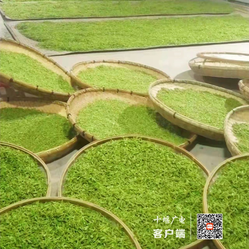 微信图片_20220404155830_副本