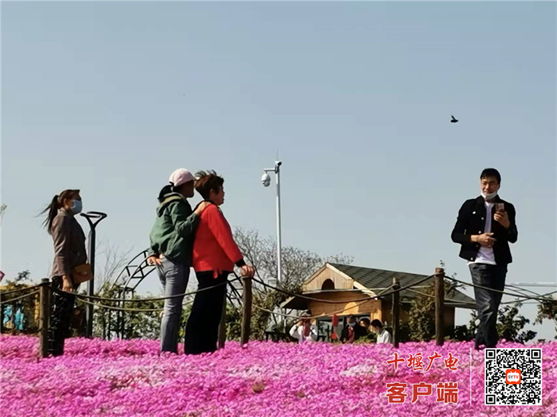 微信图片_20220405101623