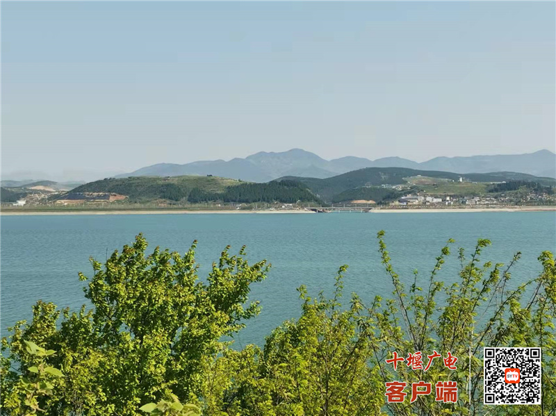 微信图片_20220405101630