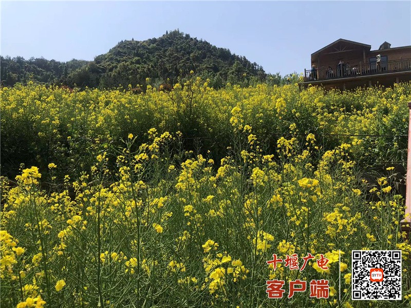 微信图片_20220405113618