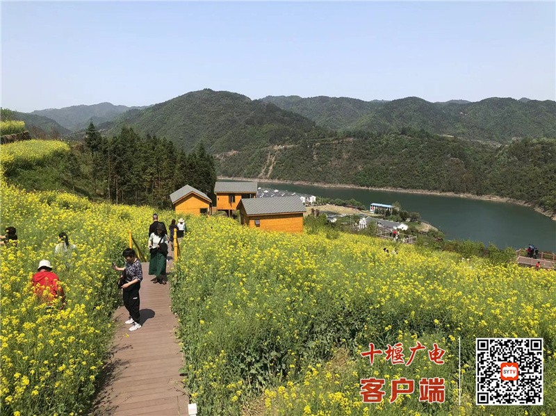 微信图片_20220405113613