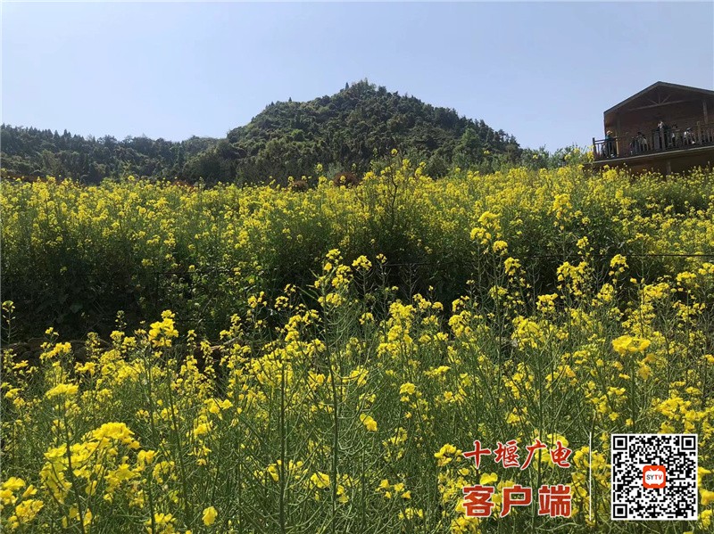 微信图片_20220405113623