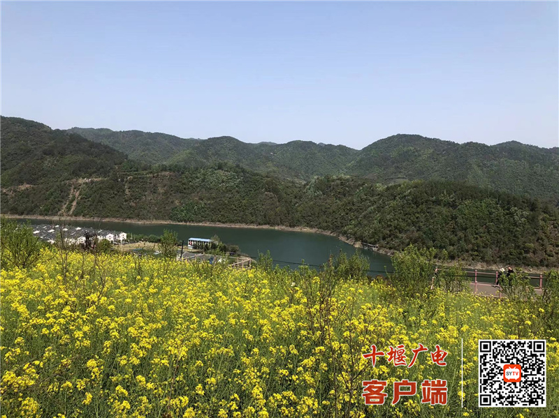 微信图片_20220405113621