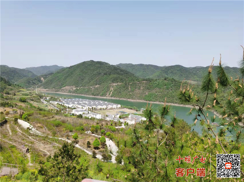 微信图片_20220405114411 - 副本