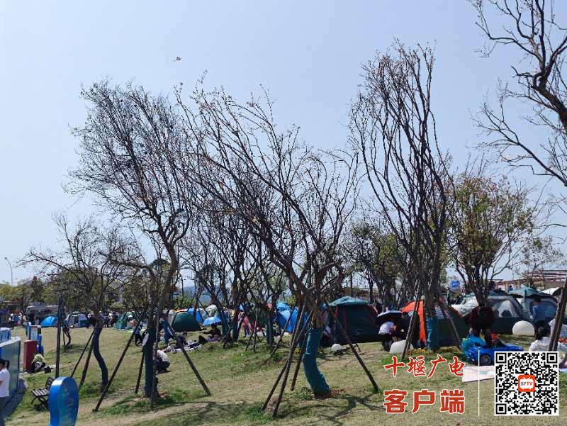 微信图片_20220405180839