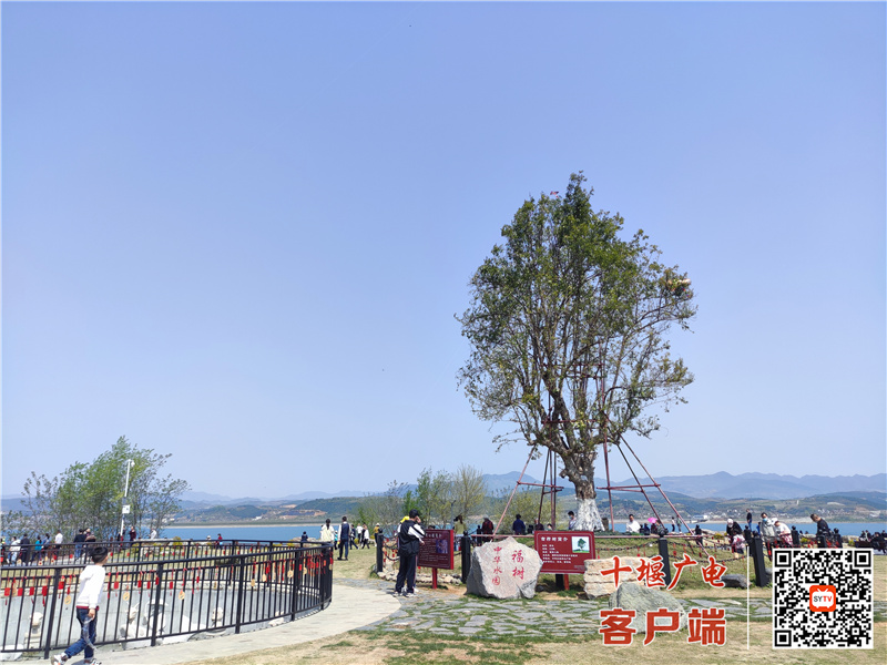 微信图片_20220405180859
