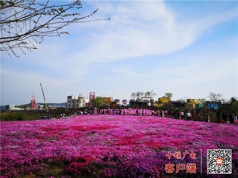 微信图片_20220406114719