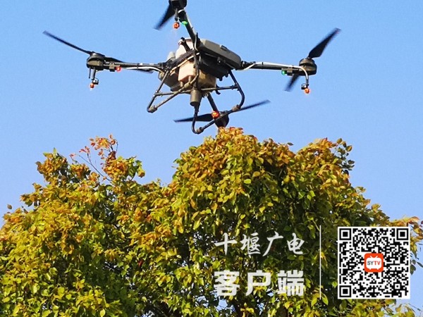 精准喷洒确保效果
