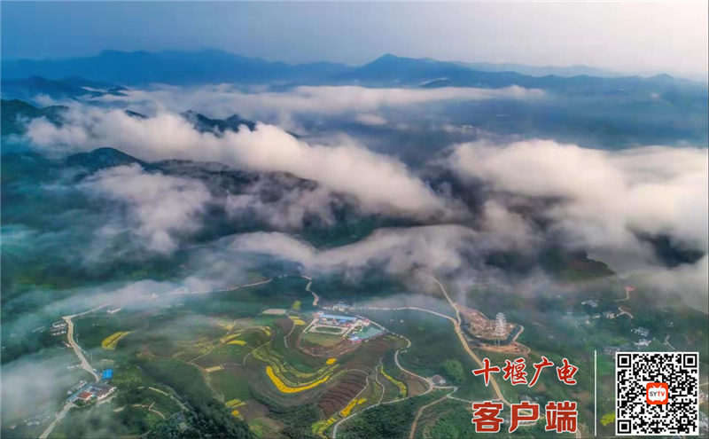 微信图片_20220407084230