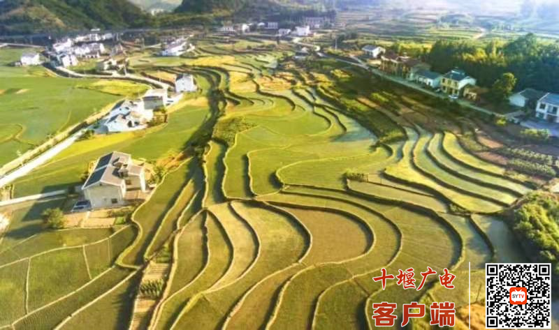 微信图片_20220407084233
