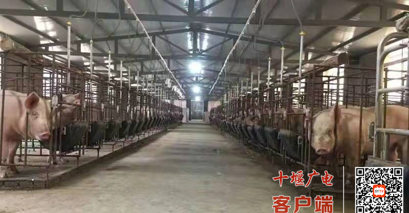 微信图片_20220407084239