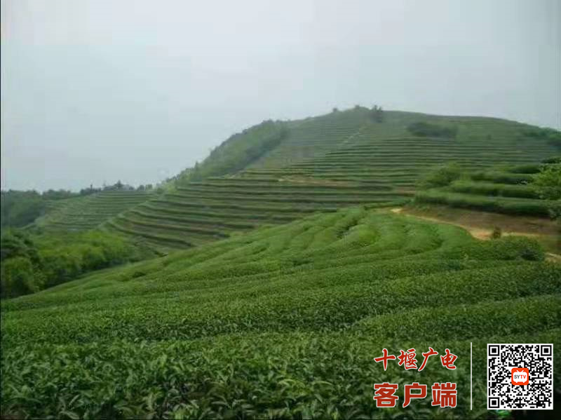 微信图片_20220407084236