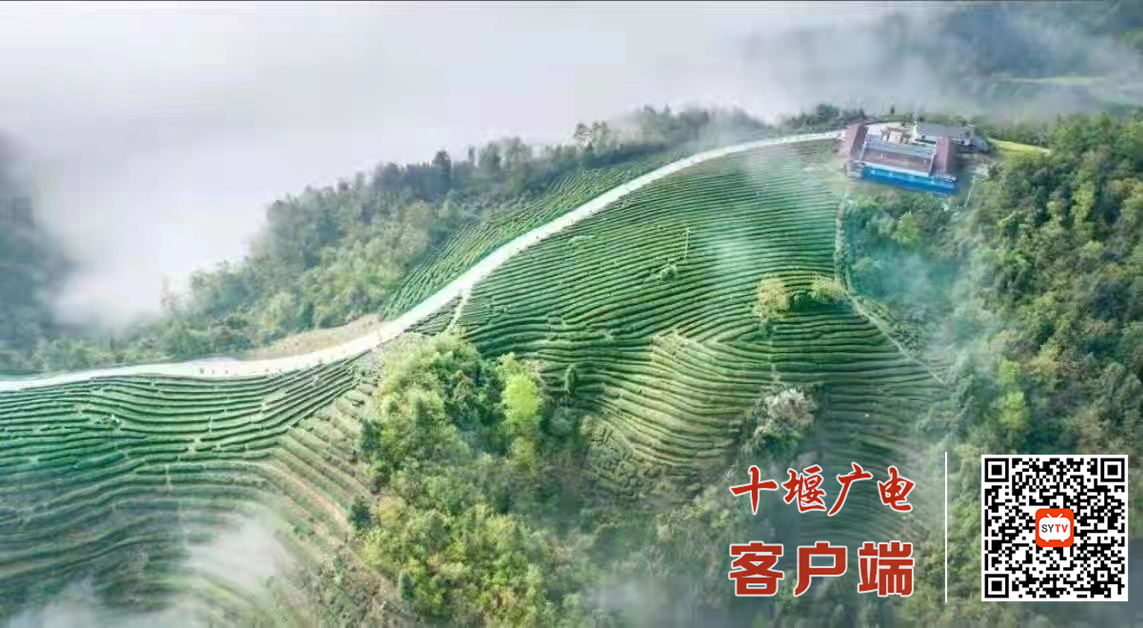 微信图片_20220331100327