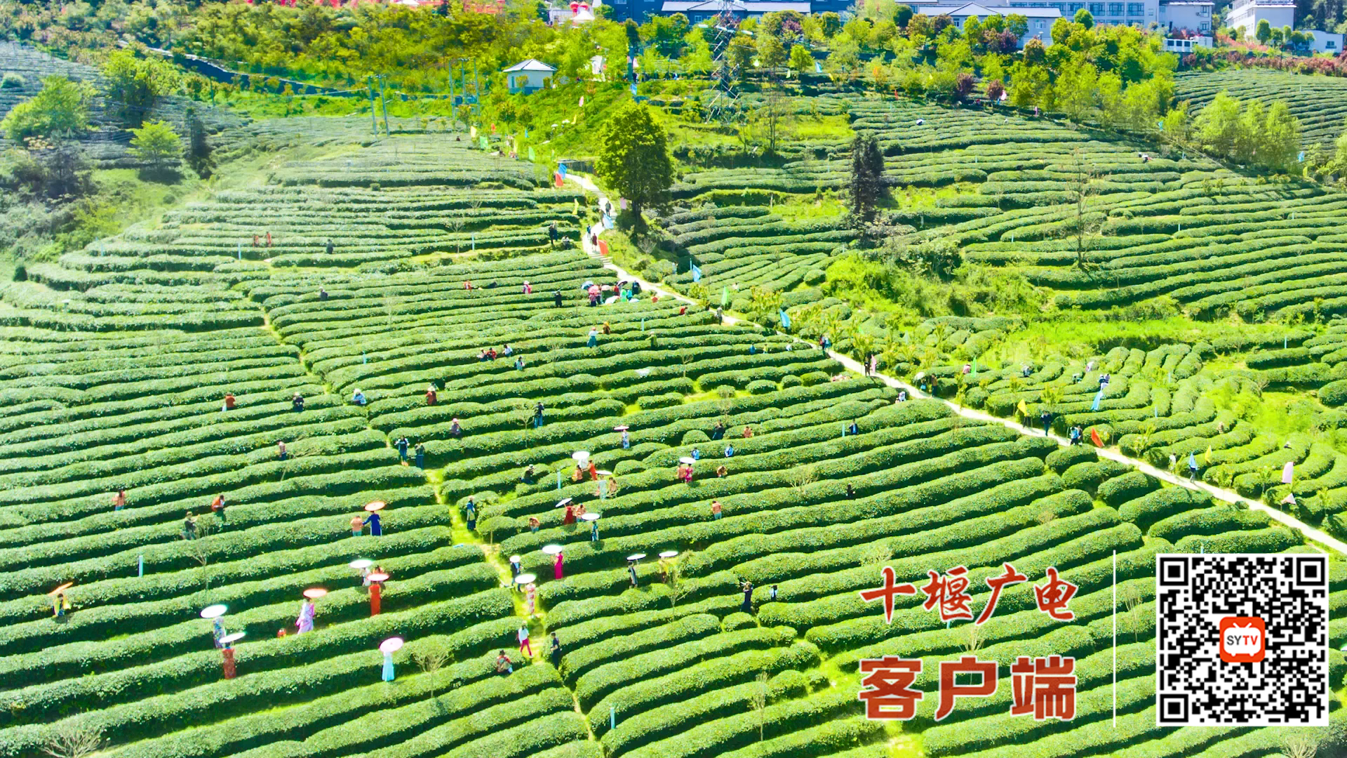 竹溪请茶歌（音频修改-小字幕版）[00_02_42][20220410-220516]