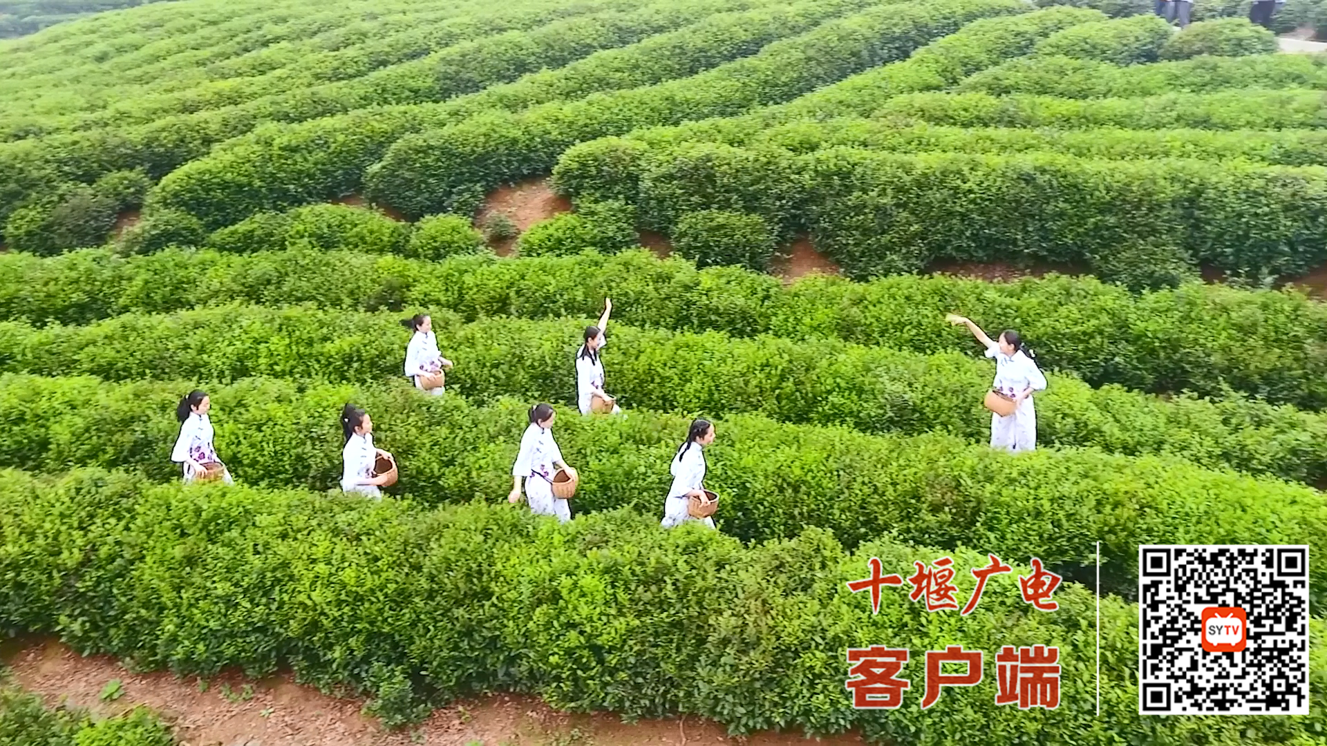 竹溪请茶歌（音频修改-小字幕版）[00_01_45][20220410-220456]