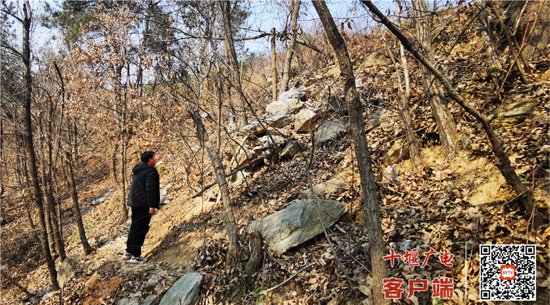 图片6(1)
