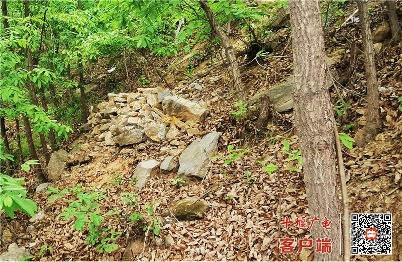 图片5(1)