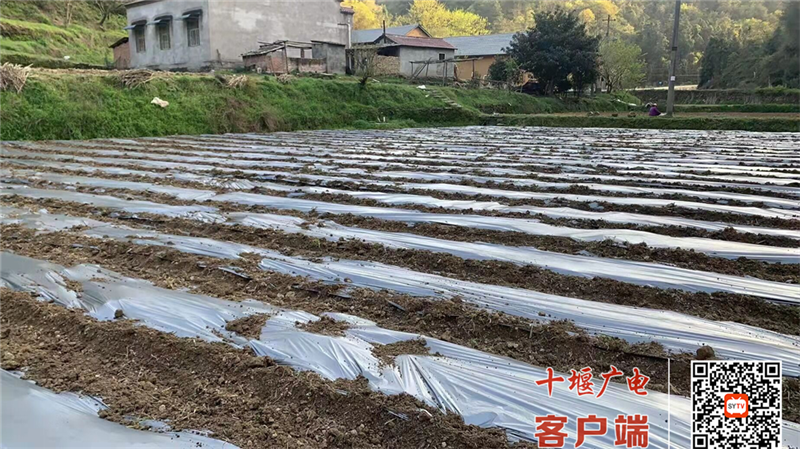 微信图片_20220411183517