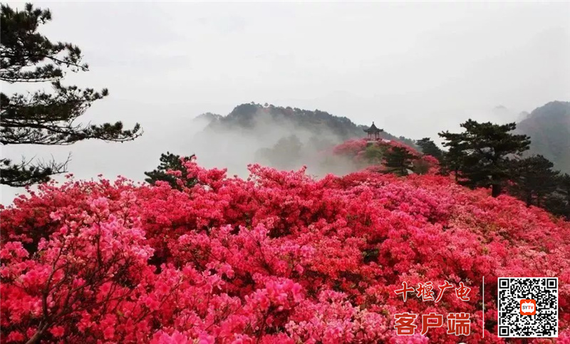 微信图片_20220411200804