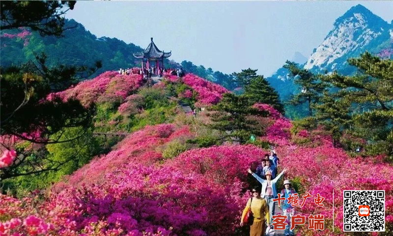 微信图片_20220411200807