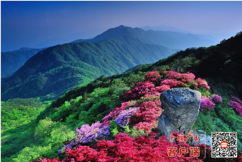 微信图片_20220411200812