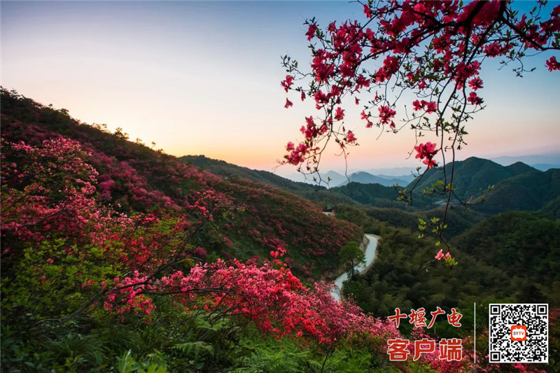 微信图片_20220411200923