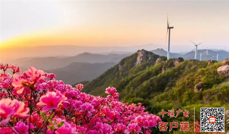 微信图片_20220411200942