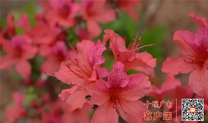 微信图片_20220411200950