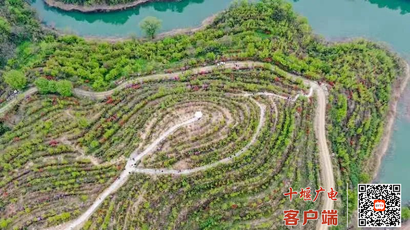 微信图片_20220411201008