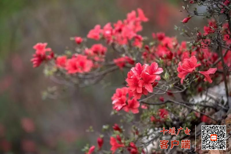 微信图片_20220411201011