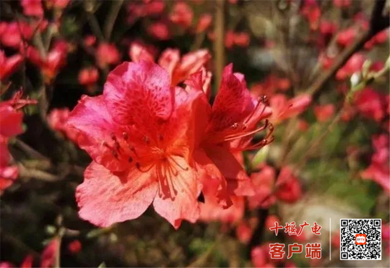 微信图片_20220411201003