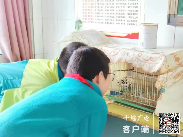 fa3a39d143f6994448f19926d2a1e77_副本
