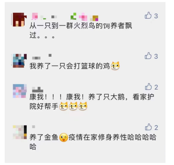 QQ截图20220412202900
