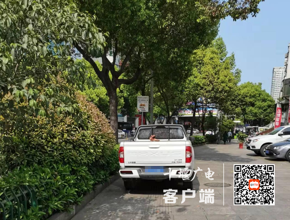 公园路工贸家电门前人行道乱停车，占压盲道.