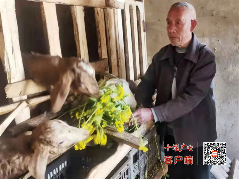微信图片_20220401155005