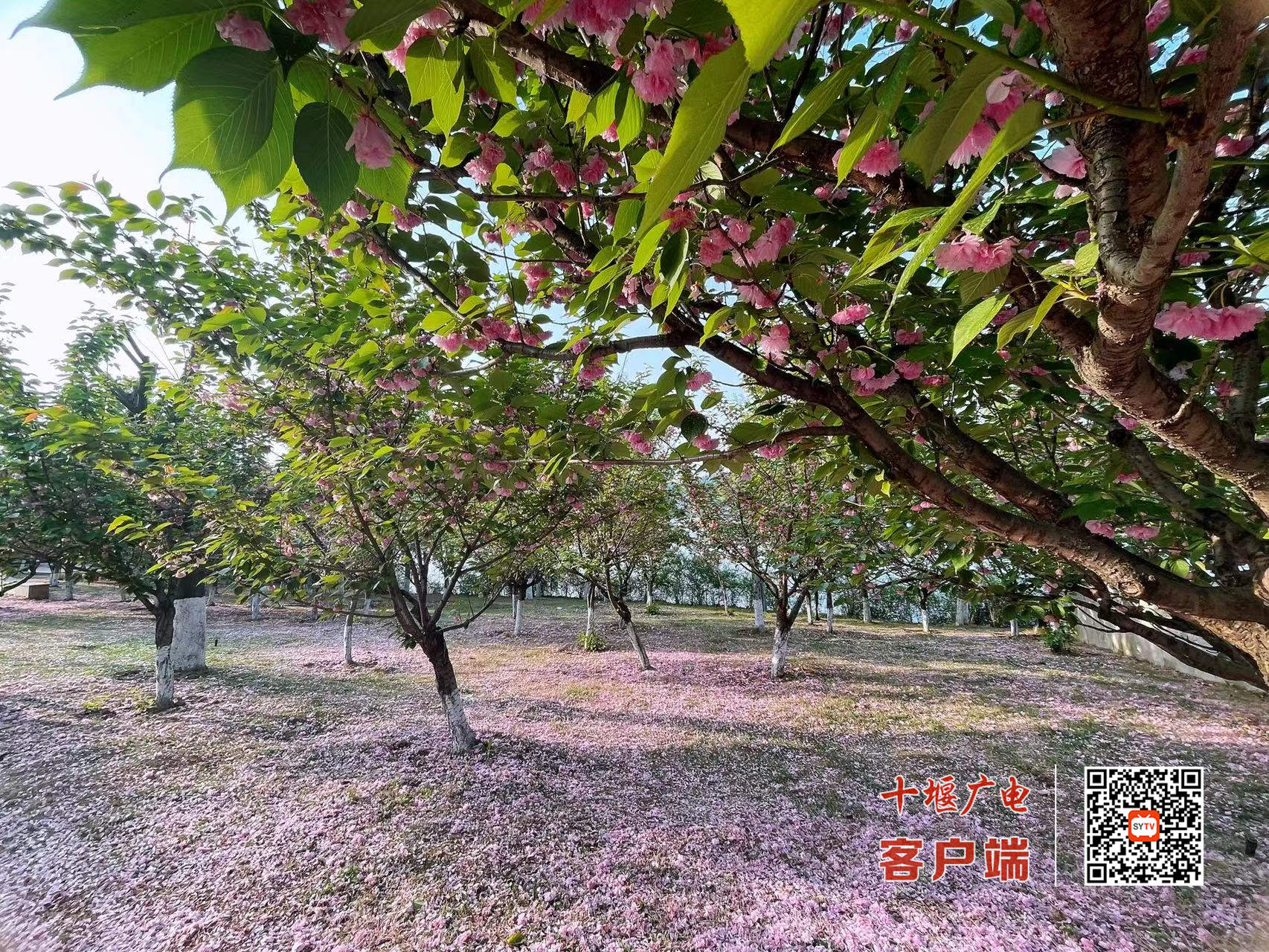 微信图片_20220413205722_副本