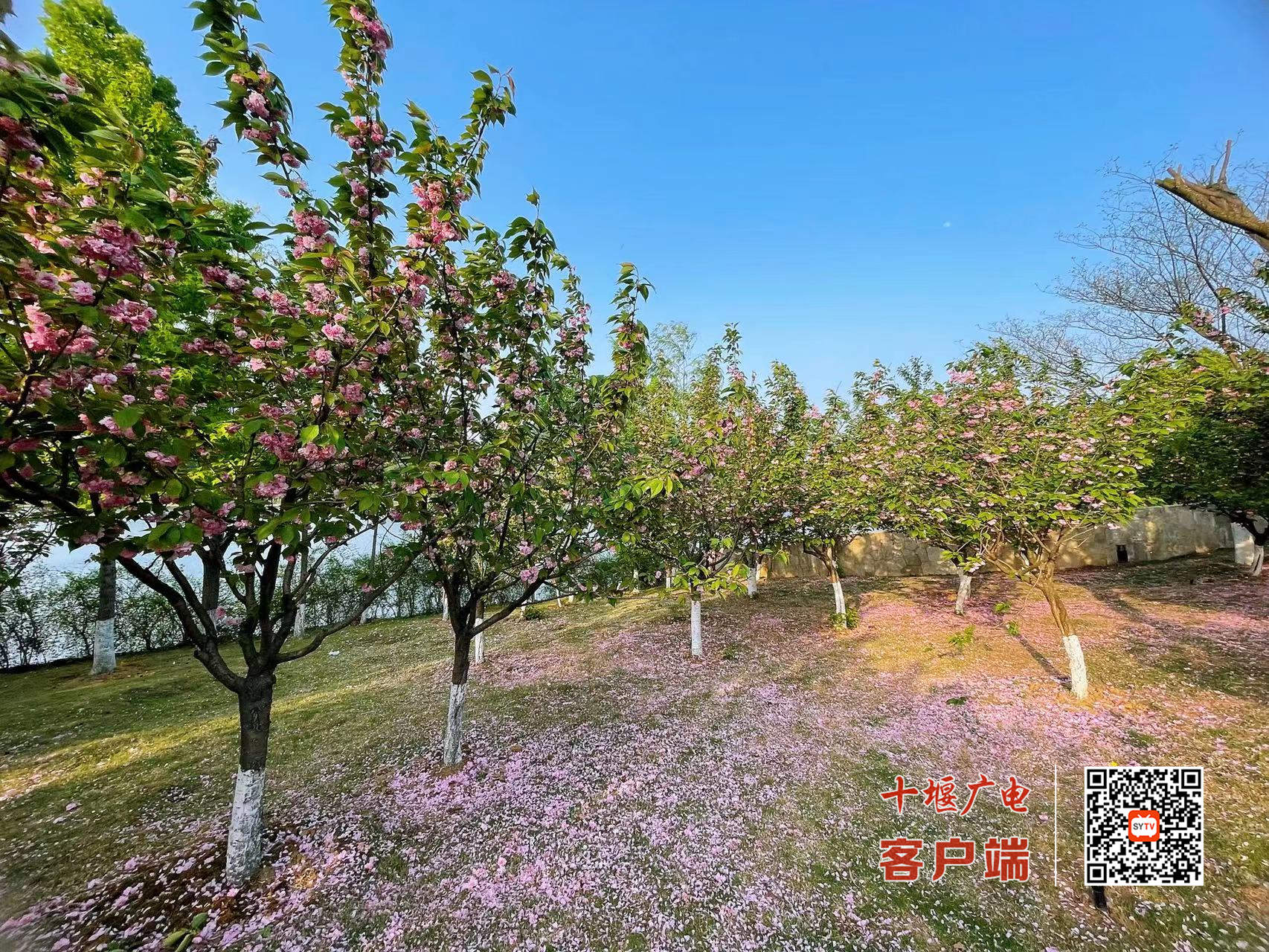 微信图片_20220413205710_副本