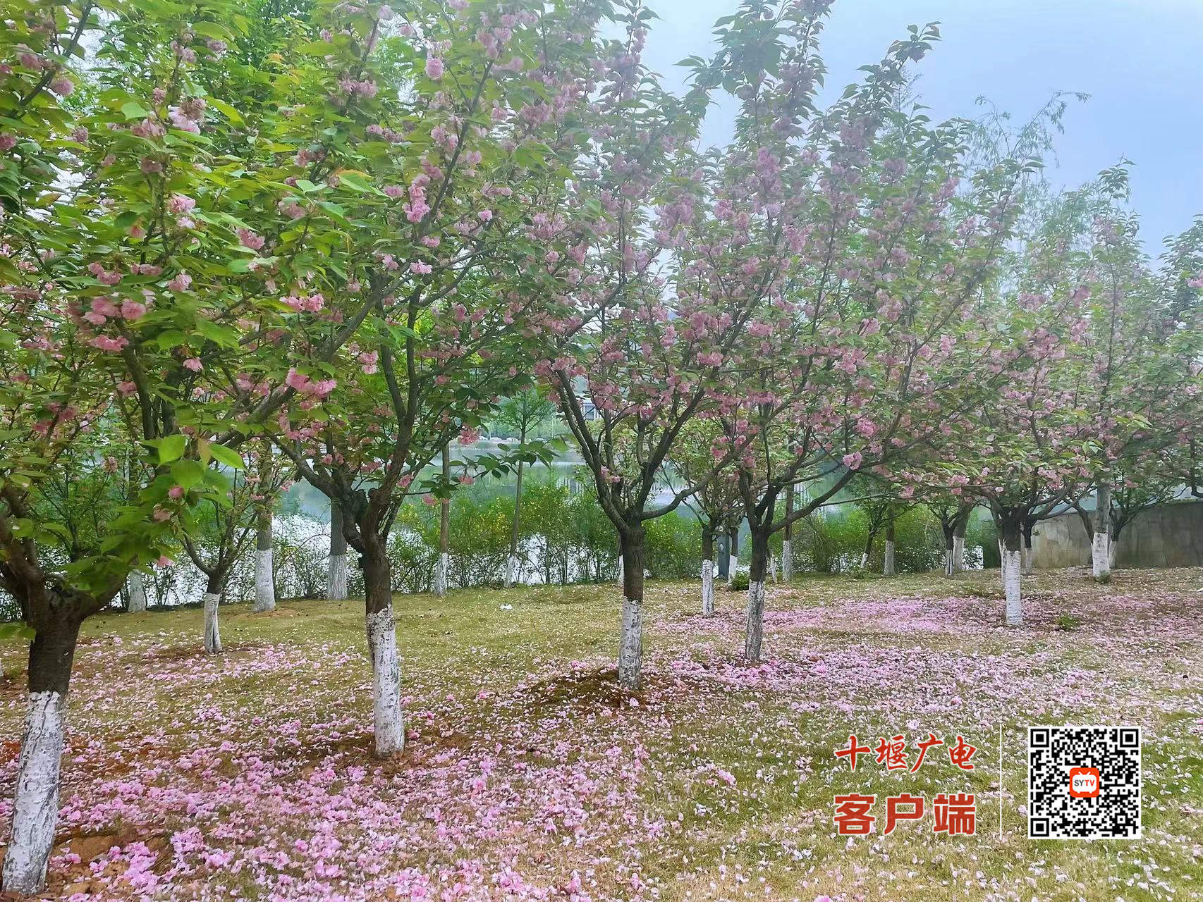 微信图片_20220413205729_副本