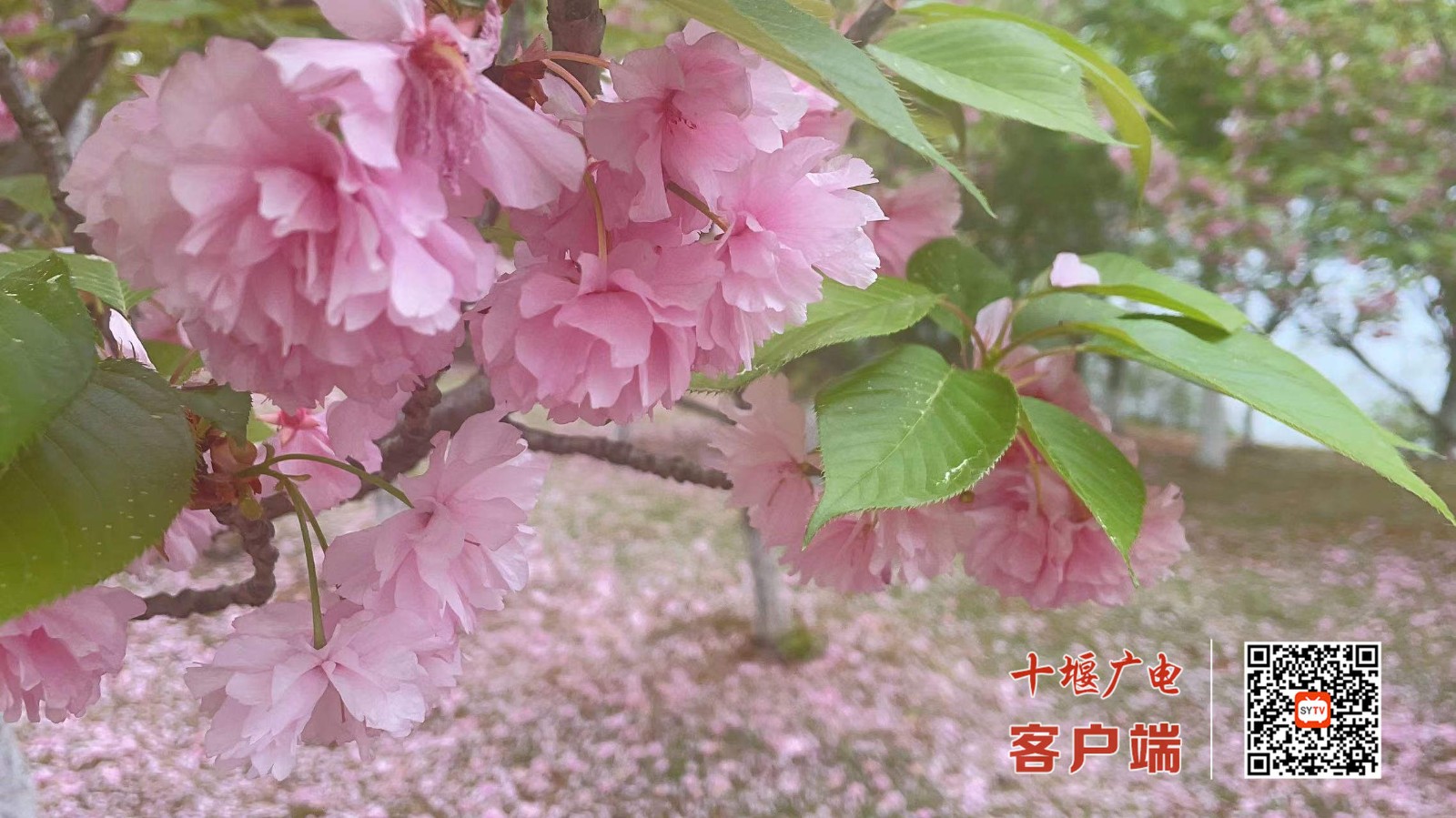 微信图片_20220413205741_副本