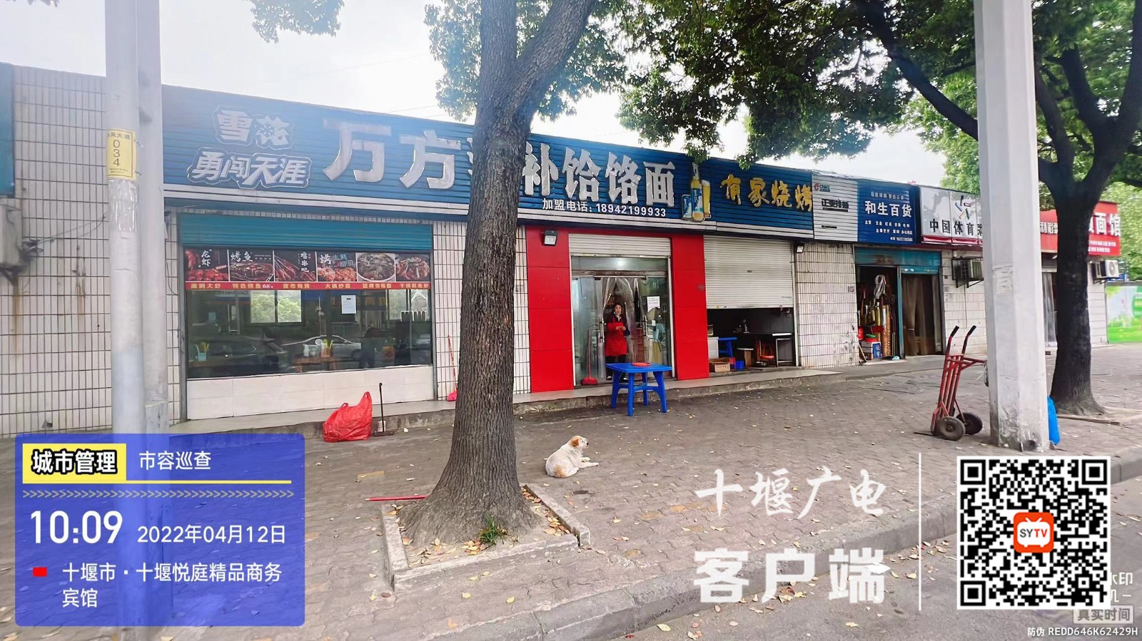 东风大道吉林路路口万方滋补面馆前遛狗不栓绳
