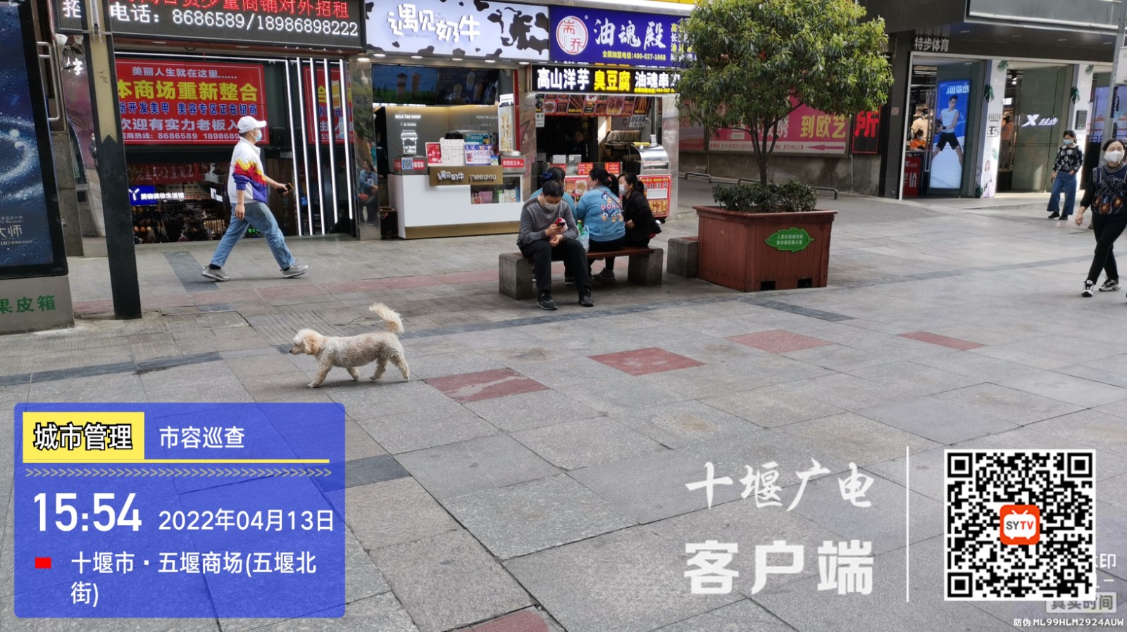 五堰北街宝裕时尚百货旁溜狗未牵绳
