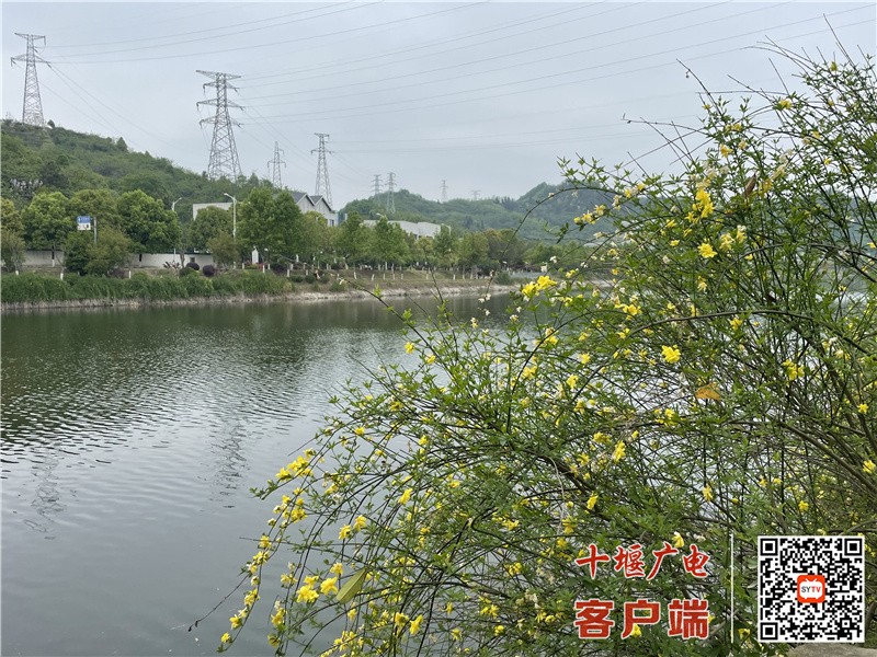 微信图片_20220419115720