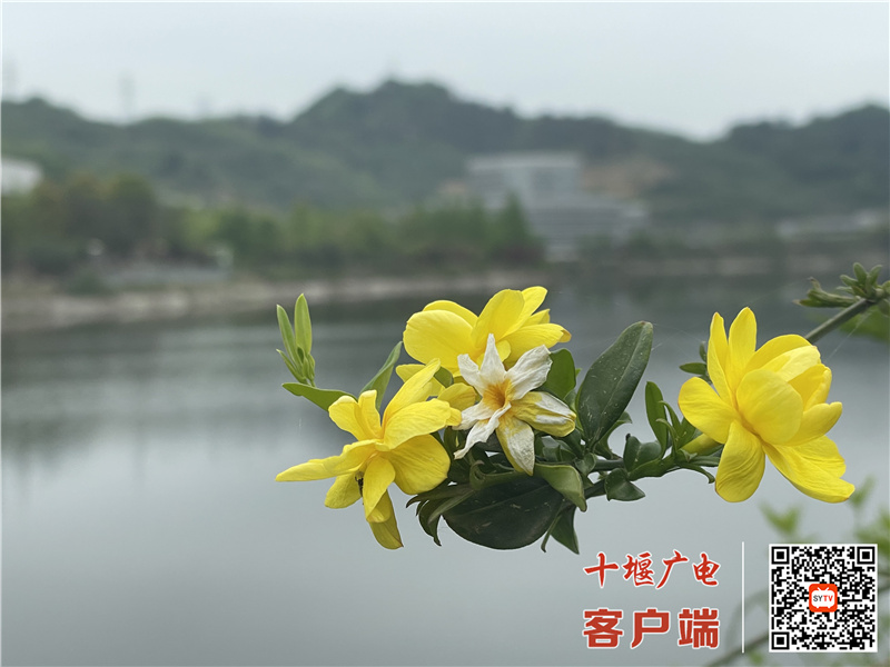 微信图片_20220419115741