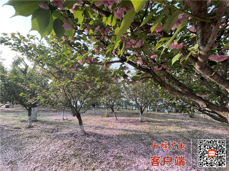 微信图片_20220419115801