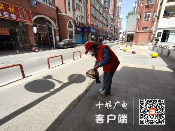 网格化志愿服务 (4)