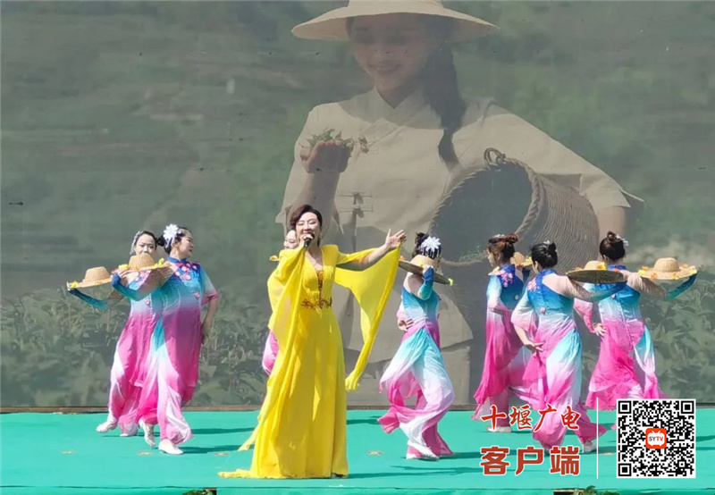 微信图片_20220419213644