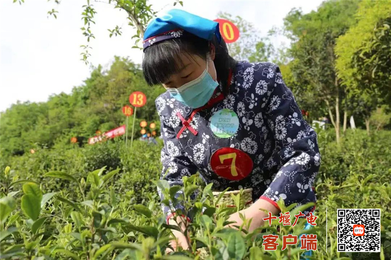 微信图片_20220419213709