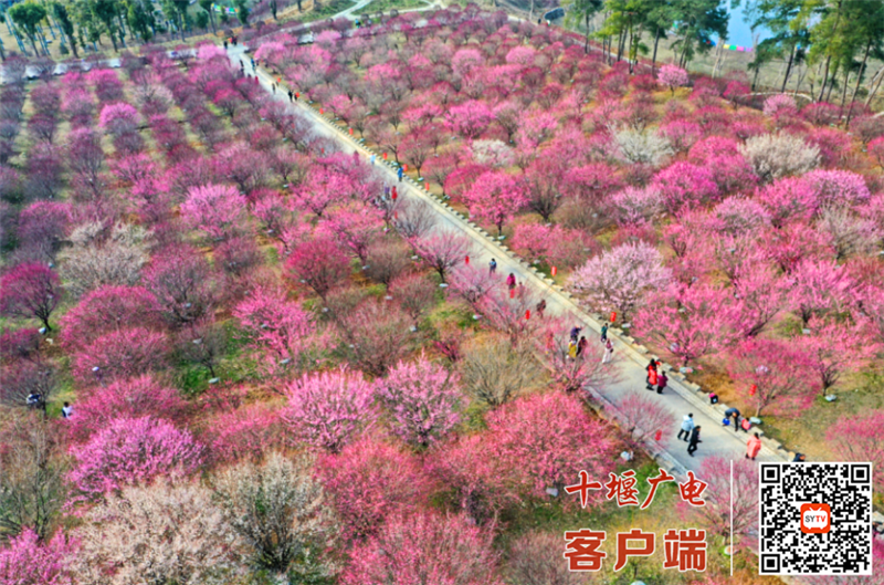 微信图片_20220424163040