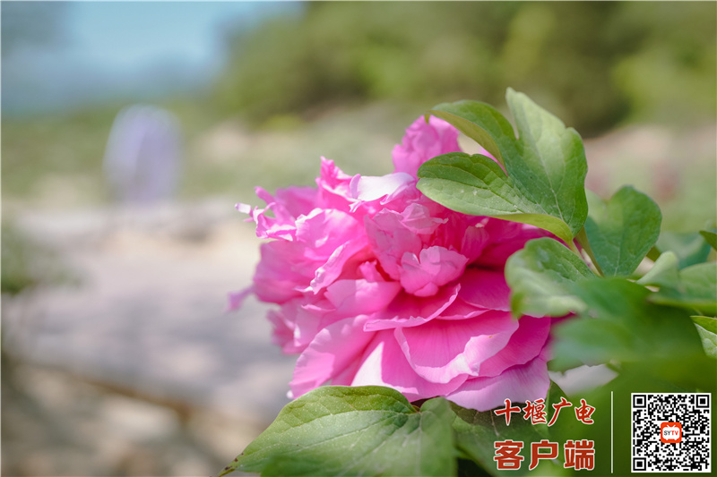 微信图片_20220424113911